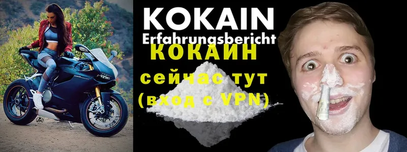 Cocaine FishScale  как найти   Инсар 